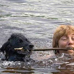 teamwork_dog.jpg