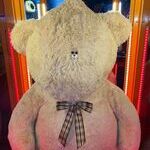 teddybear.jpg