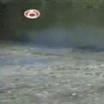 testiajot3.gif