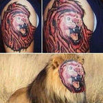 the_king_of_the_jungle_tattoo.jpg