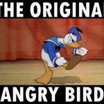 the_one_and_only_angry_bird.jpg