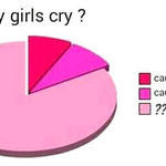 the_reason_girls_cry.jpg