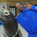 the_seal_and_the_dogg.jpg