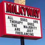 therapy_dogs.jpg