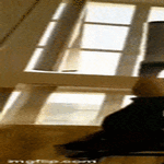 tip_tap2.gif