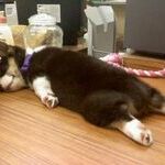 tired_640_02.jpg