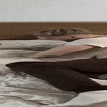 todellisuus_yllatti_3.gif