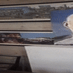 tollanen_taulu_kotiin_tuijottaan.gif