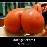 tomato.jpg