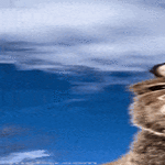 tomps3.gif