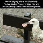 toothfairy3.jpg