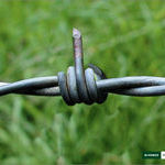 tough_barbed_wire.jpeg