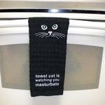 towel_cat.jpg