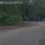 traffic.gif