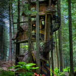 treehouse7.jpg