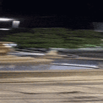 tukka_mintis.gif