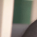tunnustelija3.gif