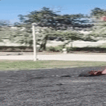 tuplat02.gif