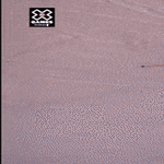 tuplat4.gif