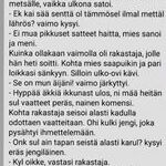 turkulainen_metsästäjä.jpg