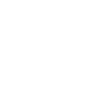 turtles6.gif