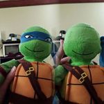 turtles_4.jpg