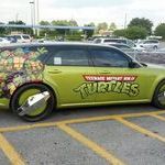 turtles_car.jpg