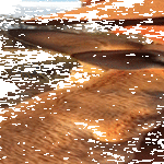 tutustumista.gif