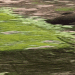 tuun_taalta4.gif