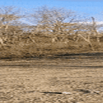 tuurilla06.gif