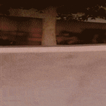 tyylikästä.gif