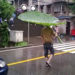 under_my_umbrella.jpg