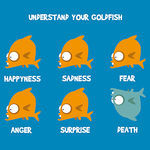 understand_your_goldfish.jpg