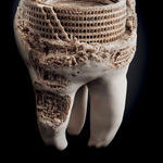 unusual_toothpaste_ads_campaign.jpg