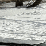 urakkaa_viikoiksi.gif