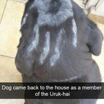 uruk_hai.jpg