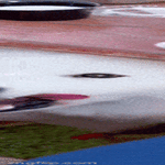 varas08.gif