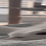 varvaskisse.gif