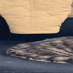 veli_hierontavuorossa.gif