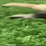 veljekset3.gif