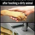 wash_your_hands2.jpg
