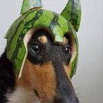 watermelonhelmet.jpg