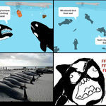 whales_mystery_solved_rage_fffffuuuuuuuu.jpg