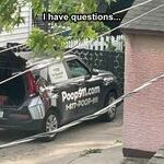 whatisthis08.jpg