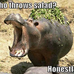 who_throws_salad.jpg