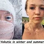 winter_vs_summer1.jpg