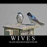 wives.jpg