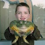 worlds_biggest_frog.jpeg