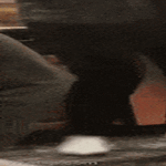 wtf_t_koira.gif