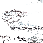 ylivaan09.gif